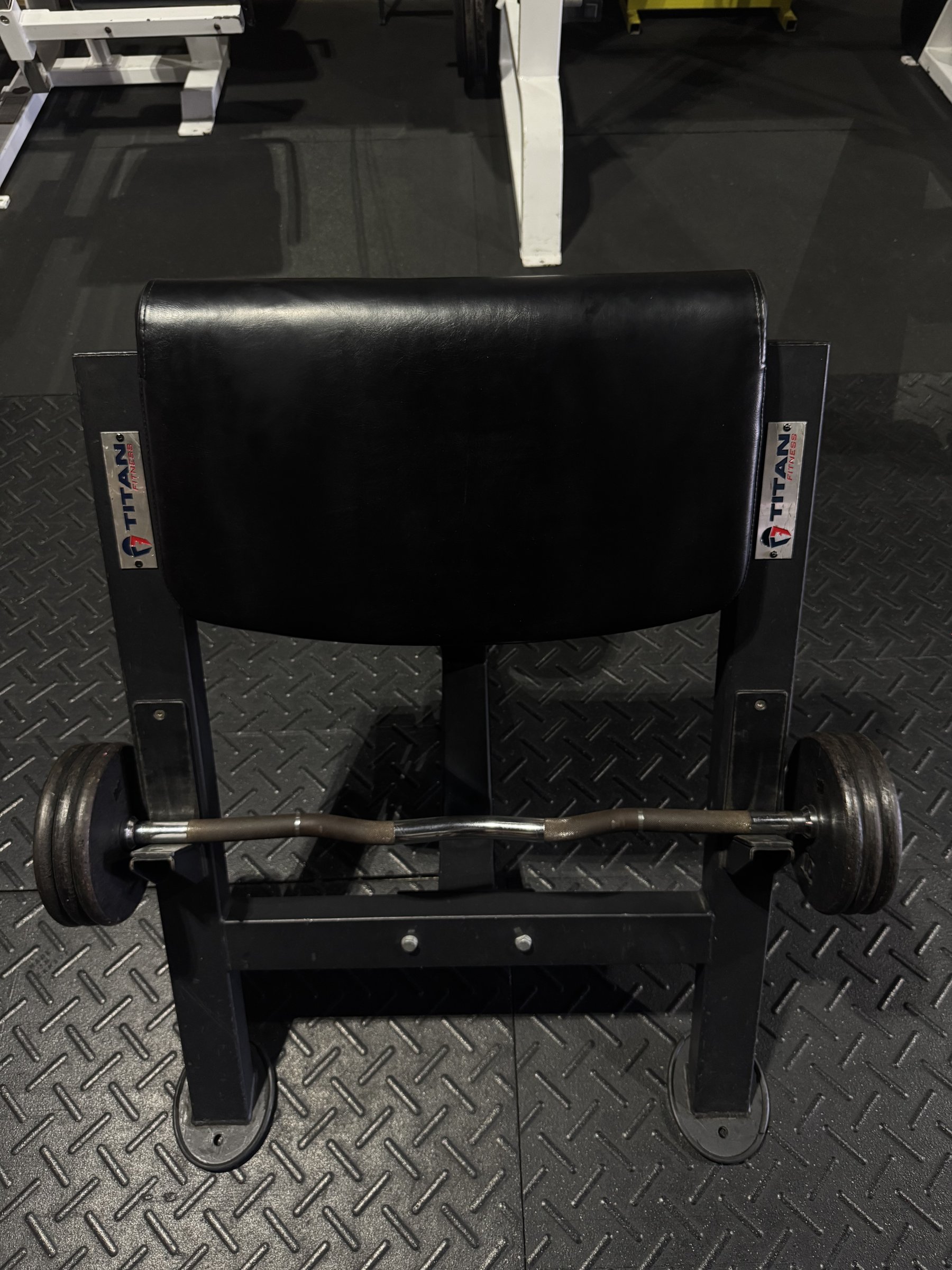 Preacher curl bench