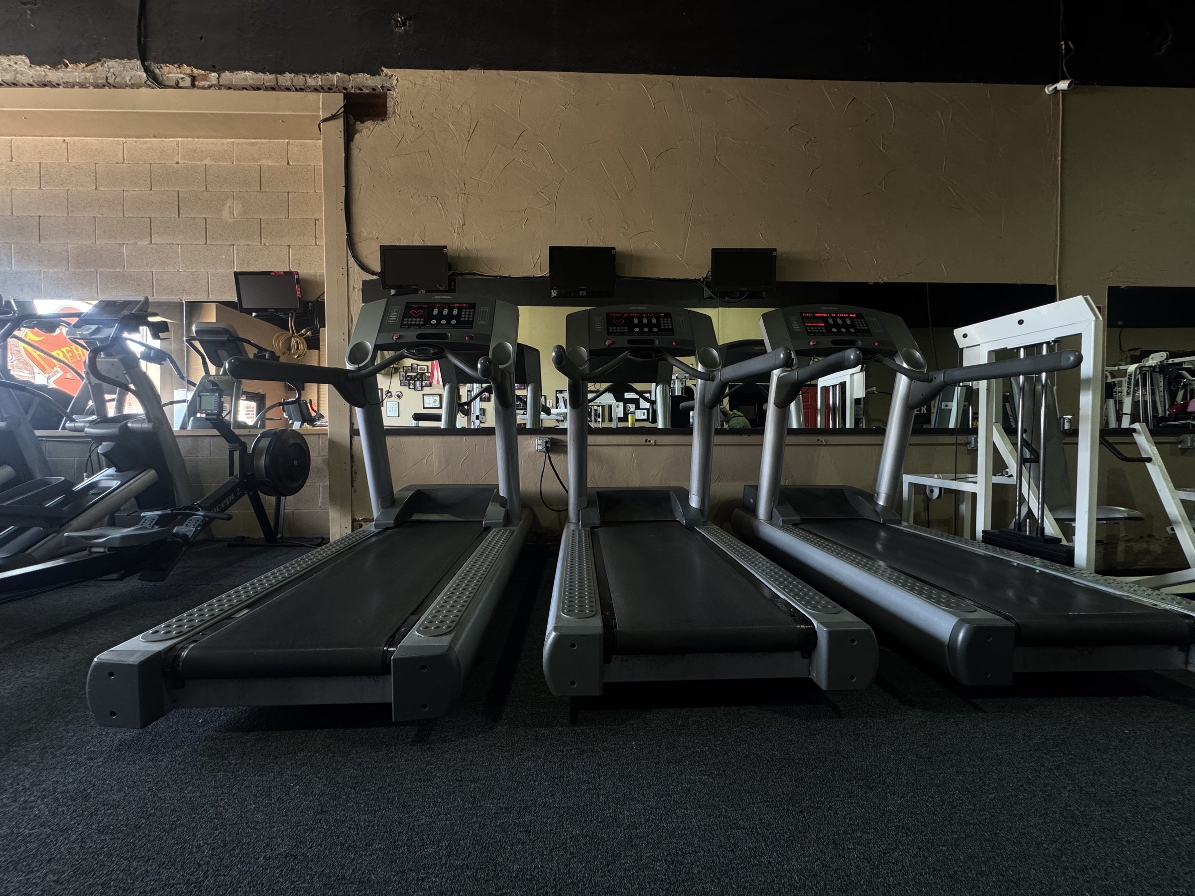 Row of treadmills