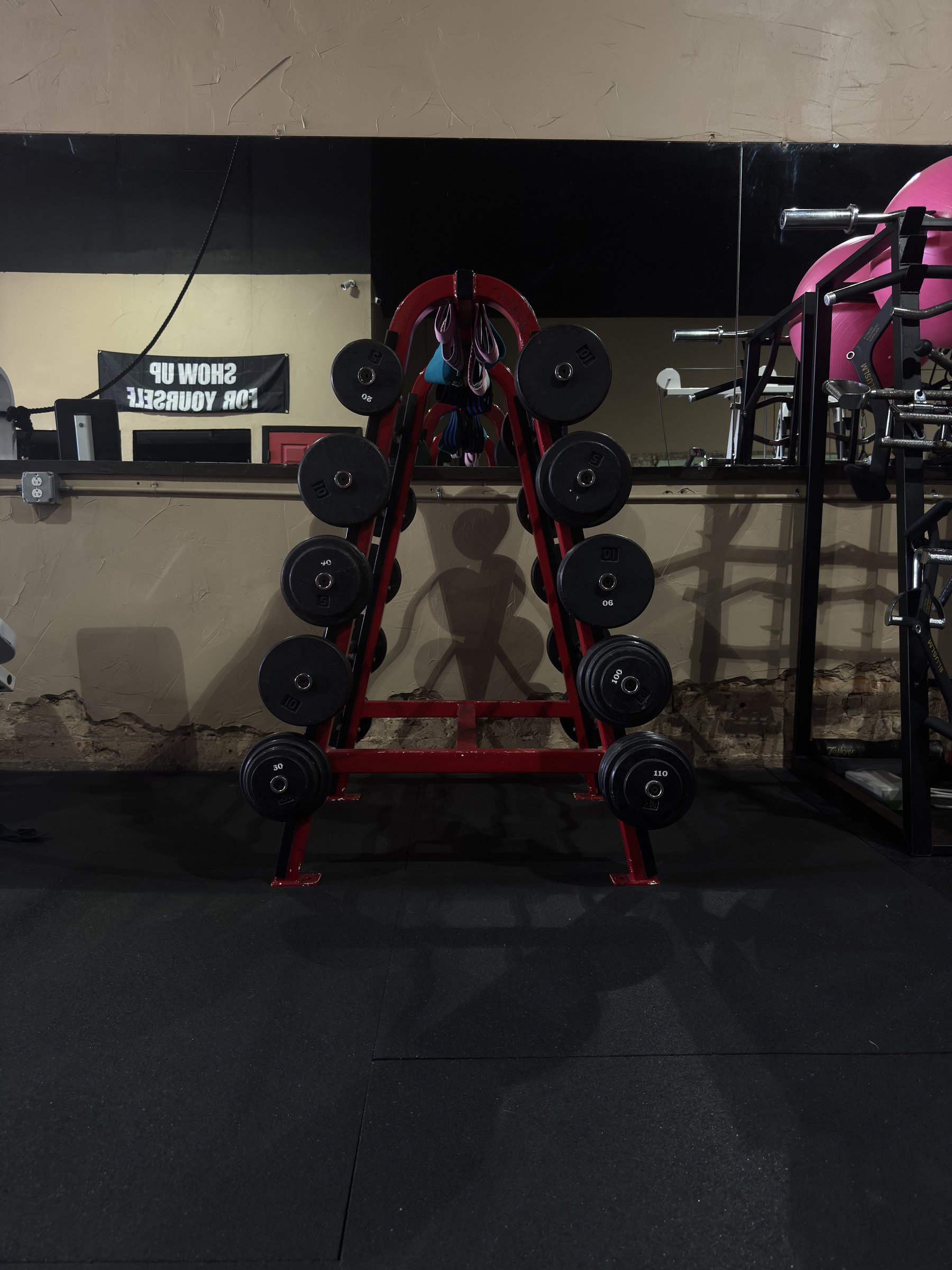 EZ curl bar and barbell rack