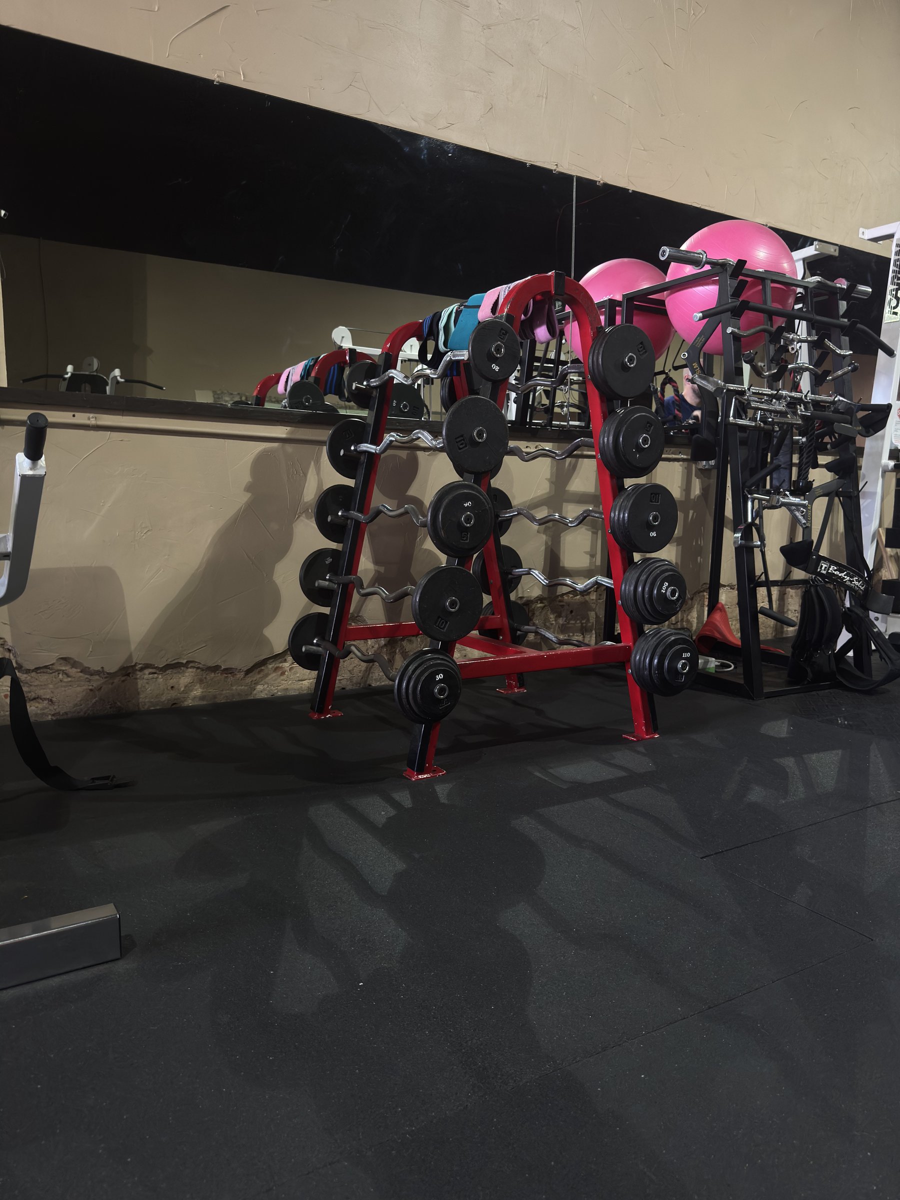 Curl bar and dumbbell area
