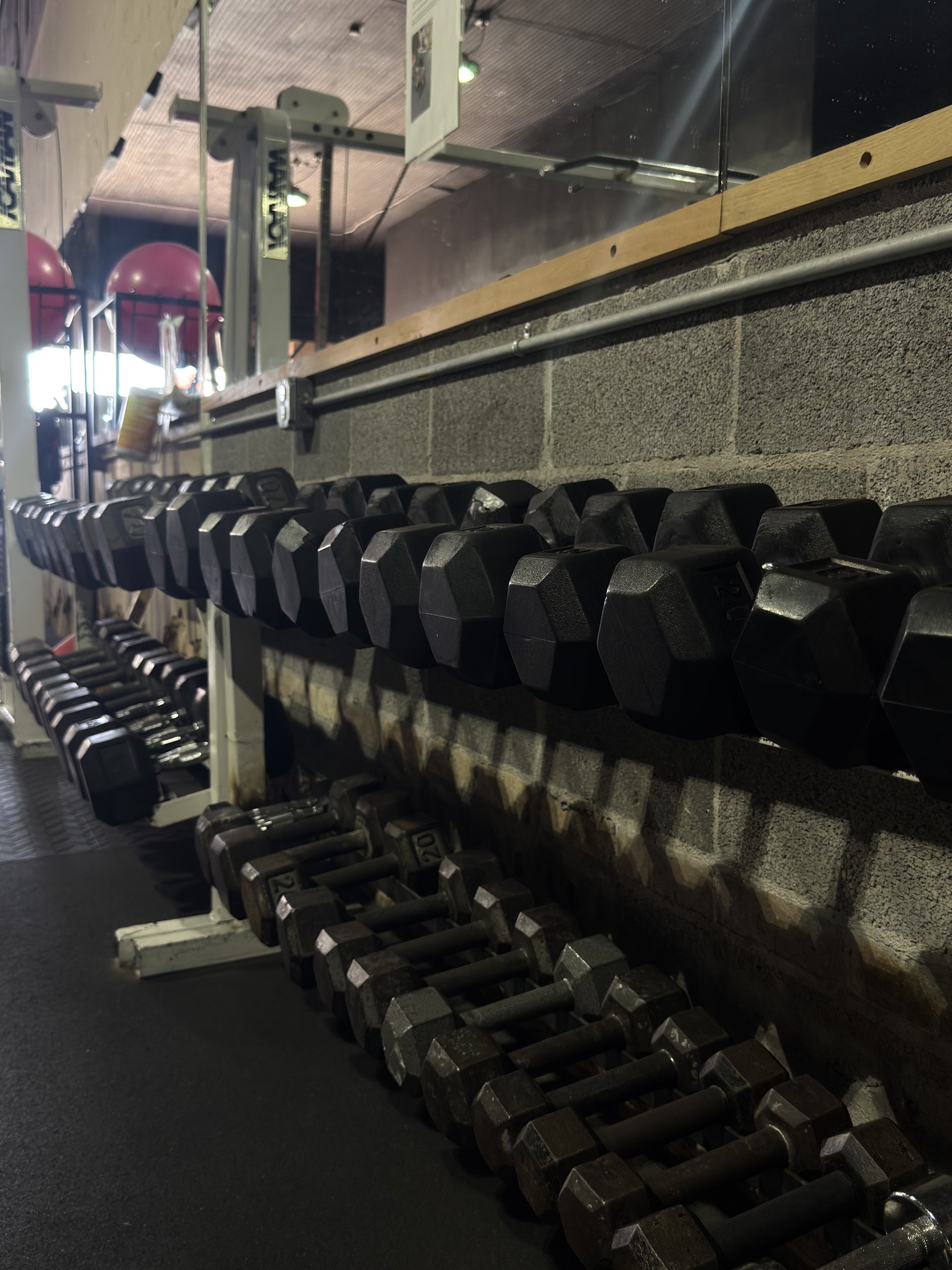 Row of dumbbells along the wall